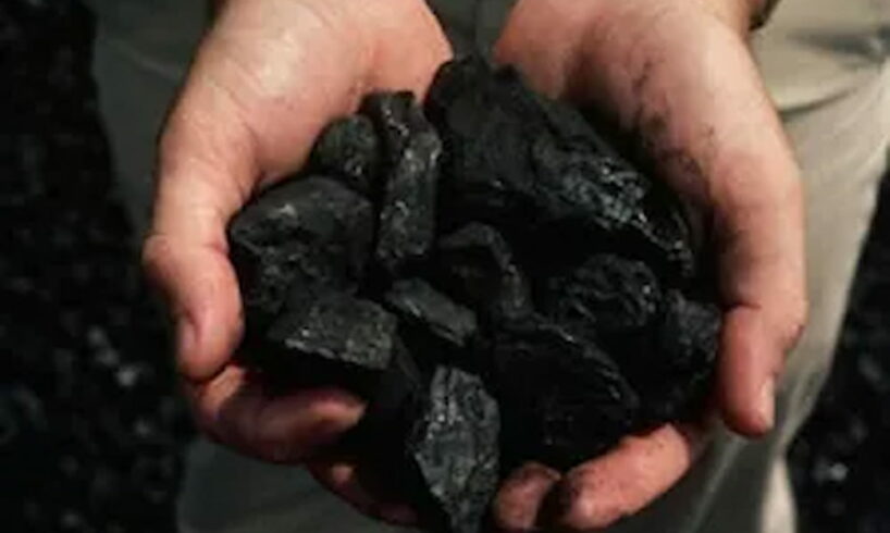 Carvão vegetal